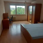 Rent 1 bedroom apartment in Příbram