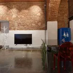 Rent 1 bedroom apartment of 60 m² in milan