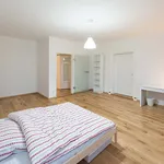 Rent a room of 145 m² in Munich