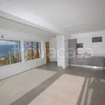 Rent 4 bedroom apartment of 150 m² in Trento