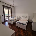 Rent 3 bedroom apartment of 100 m² in legnaro