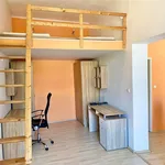 Rent 1 bedroom apartment in Brno