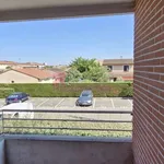 Rent 2 bedroom apartment of 39 m² in Toulouse