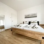 Rent 3 bedroom apartment of 75 m² in Leipzig