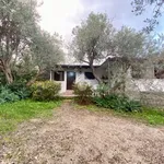 Rent 3 bedroom house of 151 m² in Messina