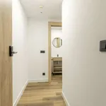 Rent 1 bedroom apartment in madrid