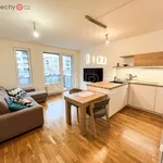 Rent 2 bedroom apartment of 65 m² in Praha