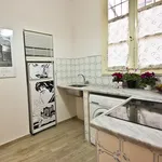 Rent 1 bedroom apartment of 50 m² in Florence