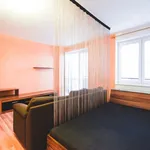 Rent 1 bedroom apartment in Brno