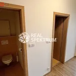 Rent 1 bedroom apartment of 33 m² in Brno