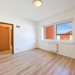 Pronájem bytu 1+kk 22m²