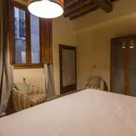 Rent 1 bedroom apartment of 50 m² in florence