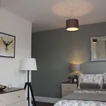 Rent 1 bedroom apartment in East Midlands