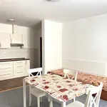 Rent 1 bedroom apartment in Svitavy