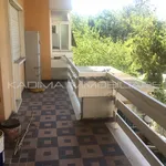 Rent 1 bedroom apartment of 65 m² in Rome