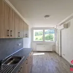 Rent 2 bedroom apartment of 37 m² in Králíky