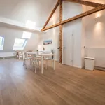 Rent 1 bedroom apartment of 41 m² in Essen