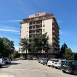 Affitto 4 camera appartamento di 125 m² in Frosinone