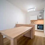 Rent 2 bedroom apartment in Nymburk