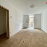 Rent 2 bedroom apartment of 55 m² in Tábor