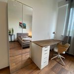 Rent 2 bedroom apartment of 80 m² in Dortmund