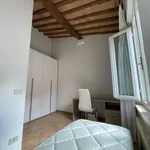 Rent 1 bedroom apartment in Siena