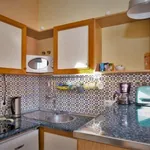 Rent 1 bedroom apartment of 50 m² in Seville']