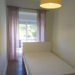 Rent 4 bedroom apartment in Lisbon