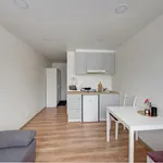 Rent 1 bedroom apartment of 20 m² in Vilnius