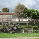 Rent 3 bedroom house in Tauranga