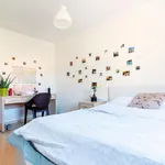 Rent 4 bedroom apartment in Valencia