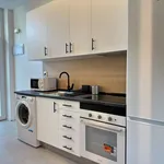 Rent 1 bedroom apartment of 30 m² in madrid