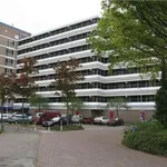 Rent 1 bedroom apartment of 60 m² in Leiden