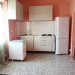 Rent 2 bedroom apartment of 45 m² in Torino