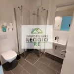 Rent 2 bedroom apartment of 55 m² in Reggio nell'Emilia