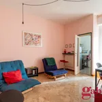 Rent 1 bedroom apartment of 55 m² in milano