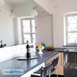 Rent 3 bedroom apartment of 110 m² in Turin