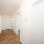 Rent 4 bedroom apartment of 75 m² in Capital City of Prague