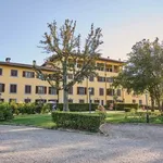 Rent 3 bedroom apartment of 55 m² in Montelupo Fiorentino