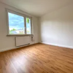 Rent 3 bedroom apartment of 66 m² in Dresden