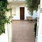 Rent 4 bedroom house of 120 m² in Santa Marinella