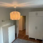 Rent 3 bedroom apartment of 65 m² in München