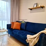 Rent 2 bedroom apartment of 34 m² in Gorzów Wielkopolski