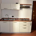 Rent 1 bedroom apartment of 33 m² in Cremona