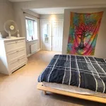 Rent 4 bedroom house in West Suffolk