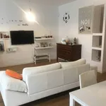 Rent 4 bedroom apartment of 140 m² in Parma