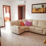 Rent 3 bedroom apartment of 80 m² in Rome