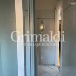 Rent 1 bedroom apartment of 42 m² in Bologna