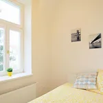 Rent 6 bedroom apartment in Prague