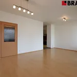 Rent 1 bedroom apartment of 47 m² in Brno